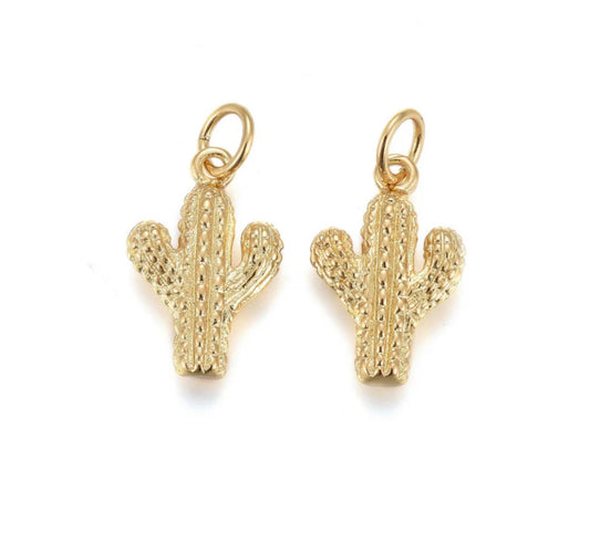 Cactus Cutie Charm